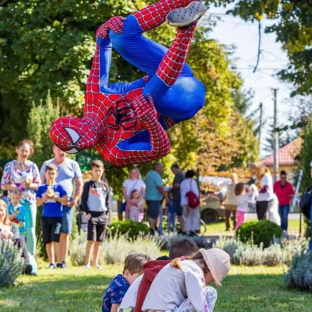 Cosplay Marvel Show